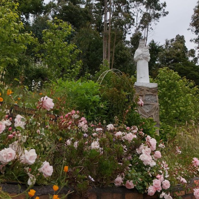 WhatsApp Image 2023-12-26 at 11.05.18 (1)