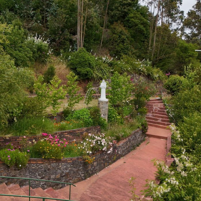 WhatsApp Image 2023-12-26 at 11.05.19 (2)